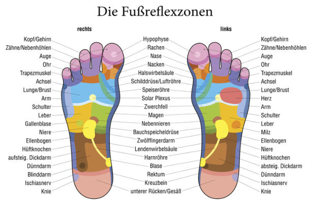 Bildliche Darstellung der Fussreflexzonen